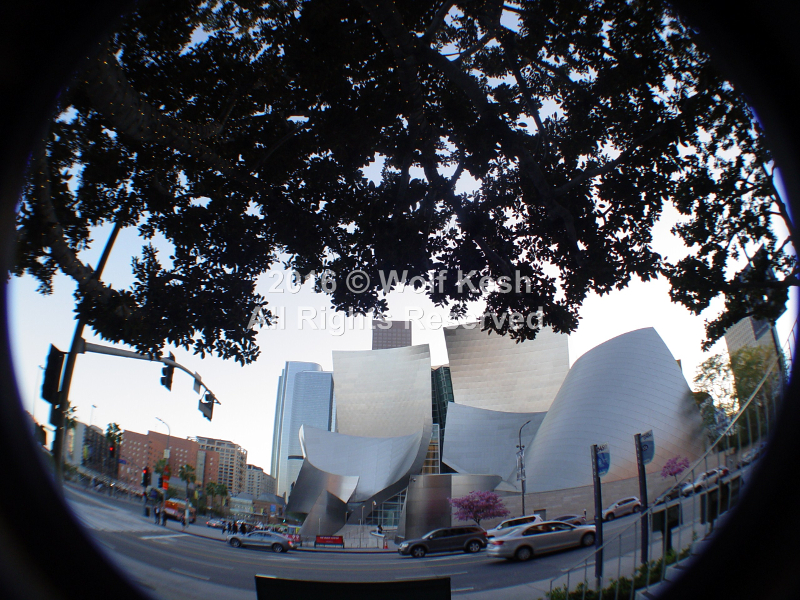 Walt Disney Concert Hall In Los Angeles Stock Photo By Wolf Kesh